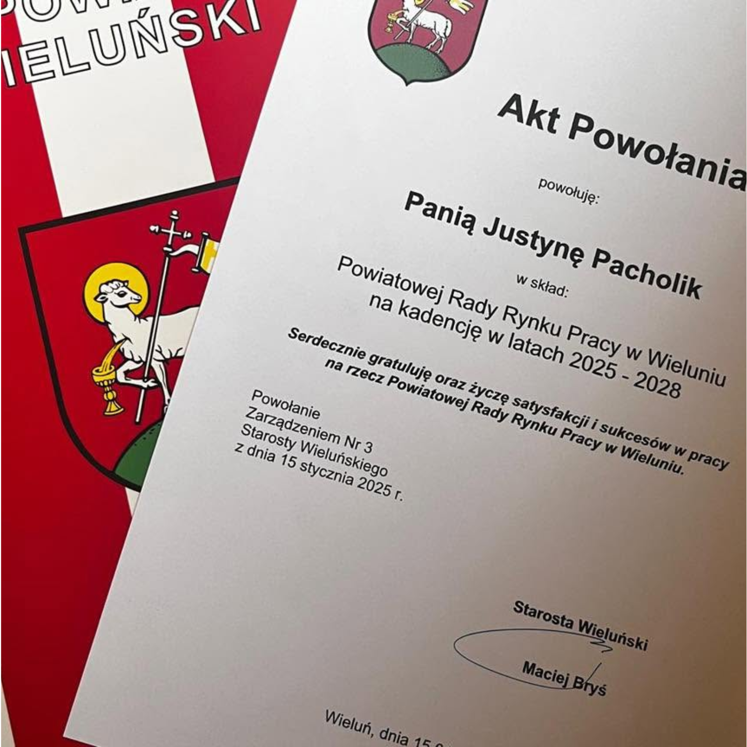 Projekty foto (52)